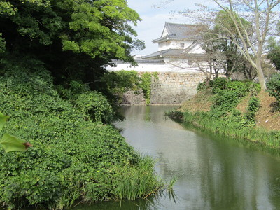 水口城南東側の水堀