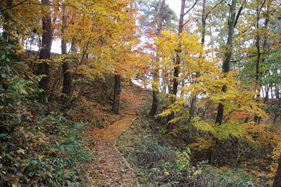 登城路