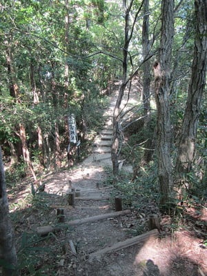 城郭ⅡとⅣ間の切岸