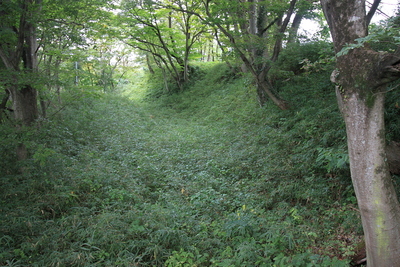 主郭南西の横堀