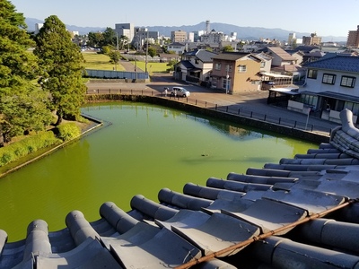 水堀(土橋門周辺)