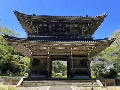 林泉寺山門