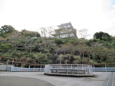 再建天守（大井戸越し）