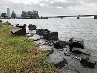 湖岸と近江大橋