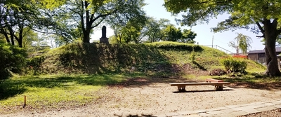 主郭南側土塁(全景)