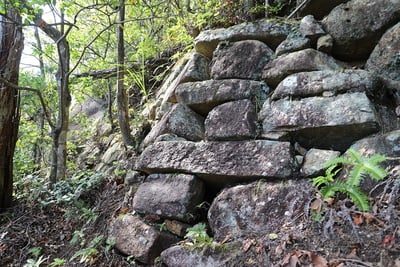 石垣(山頂手前)