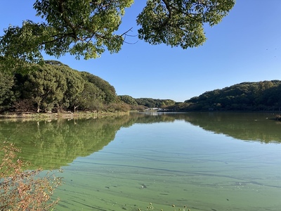 剛の池