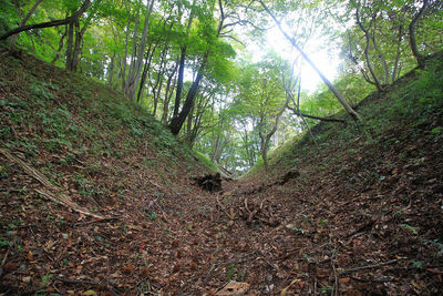 三重堀（内側）