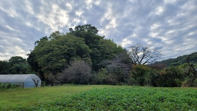 城域遠景