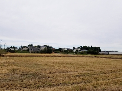 城址遠景(東側から撮影)