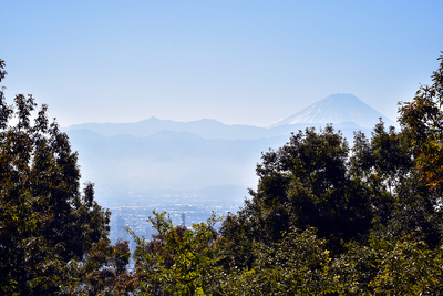 本曲輪跡から富士を望む