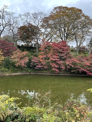 お堀と紅葉