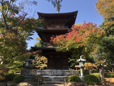 美しい豪徳寺三重塔