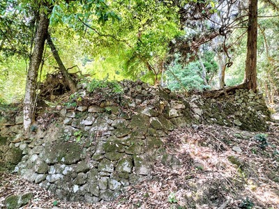 曲輪跡の石垣