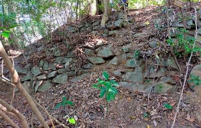 石垣コースの上の方の石垣