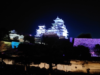 シロノヒカリ夜間公開