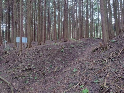 本郭と二の郭の間の空堀