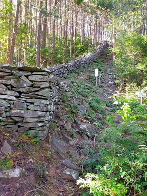 竪堀と長い石塁