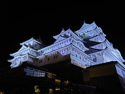 シロノヒカリ夜間公開