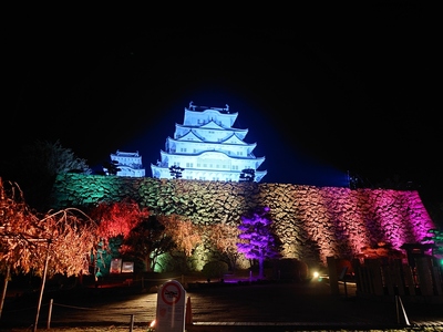 シロノヒカリ夜間公開