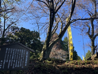 案内板と主郭の小早川のぼり旗