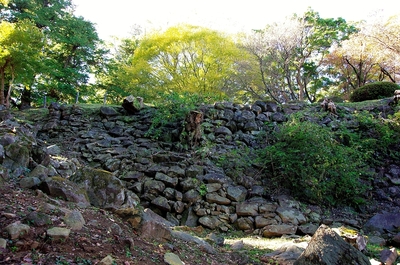 本丸南東側の石垣