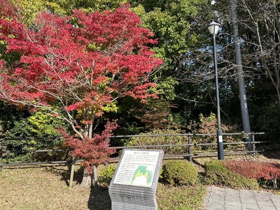 風呂ケ谷城案内板