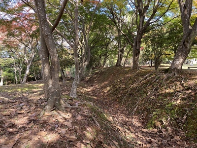 本丸西側の横堀