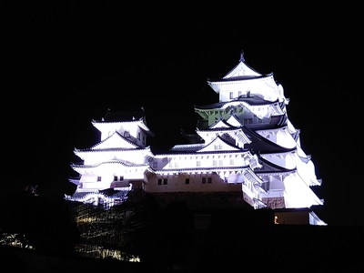 シロノヒカリ夜間公開