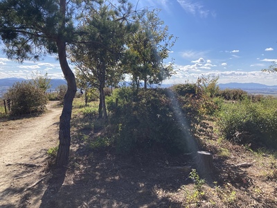 八幡山城・出丸址