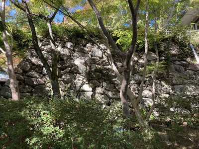 八幡山城・二の丸石垣