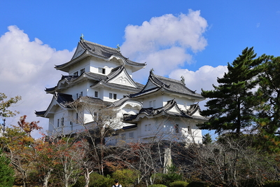 伊賀上野城_大天守_小天守