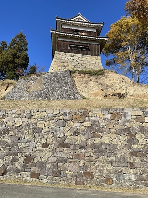 尼ヶ淵から見上げた南櫓