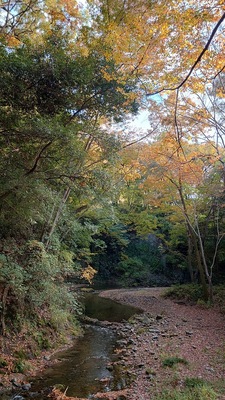 天然の要害　深沢川の橋から