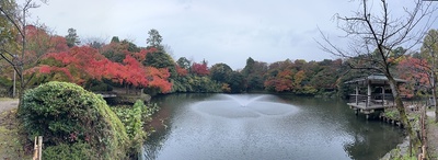 噴水と紅葉