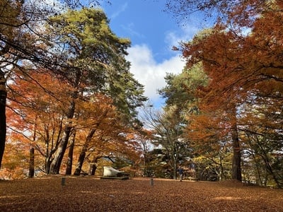 紅葉あふれる飛騨高山城本丸