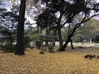 主郭風景