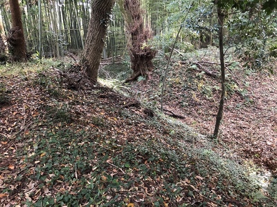 主郭南東側の虎口と土塁