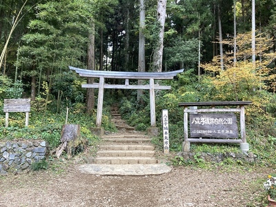 八王子城・八王子城跡自然公園