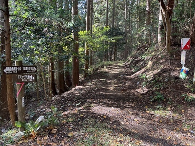 城址への分岐点