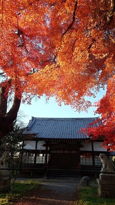 五稜郭内の神社