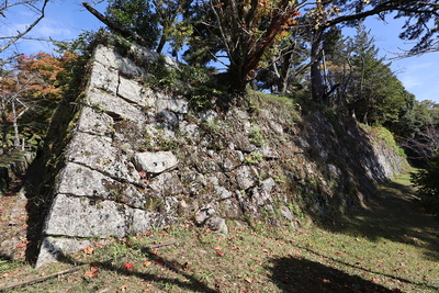 本丸南東側の石垣