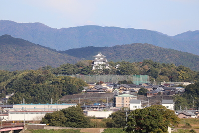 城址遠景(ふるさと芭蕉の森より)