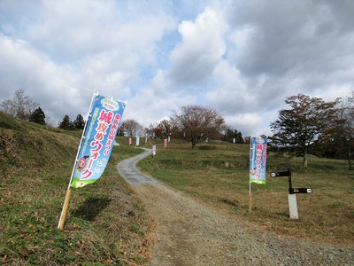 本丸遠景（大手門付近から）