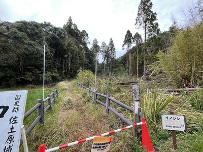 中の道入り口