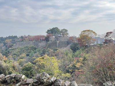 西の丸から見た石垣