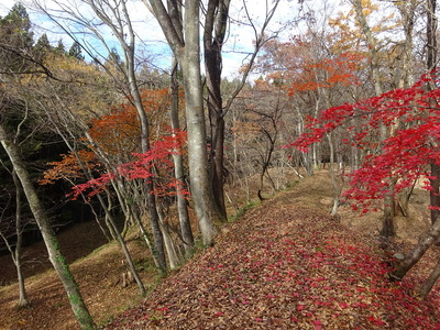 二の丸多重空堀･土塁