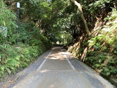 城代屋敷東面の空堀跡