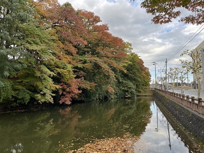 城東側の内堀