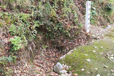 お茶の清水跡